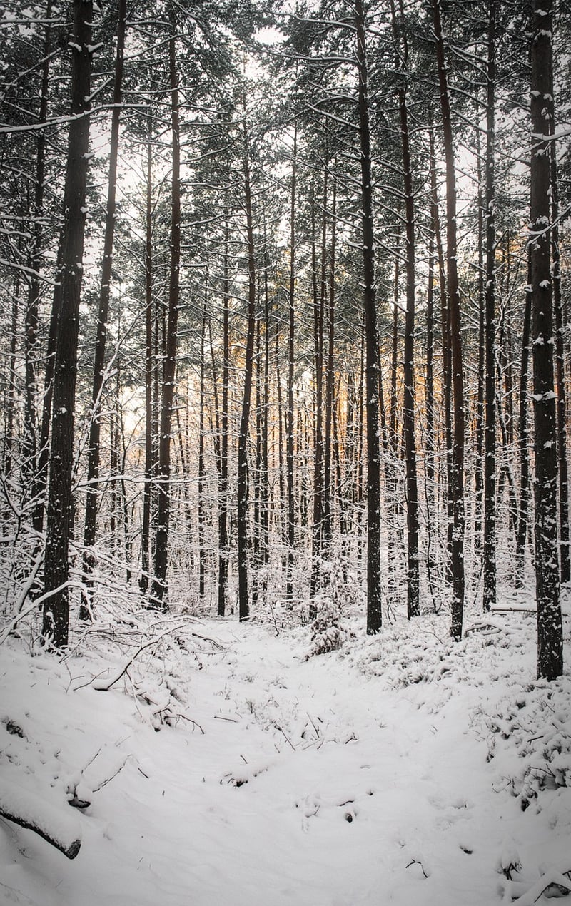 Discover hidden trails